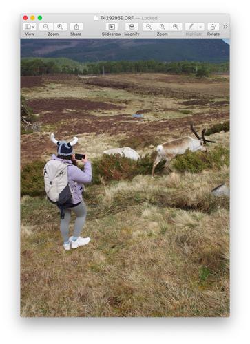 Reindeer 15 RAW - Viking hunting 1 by Roel Hendrickx.jpg