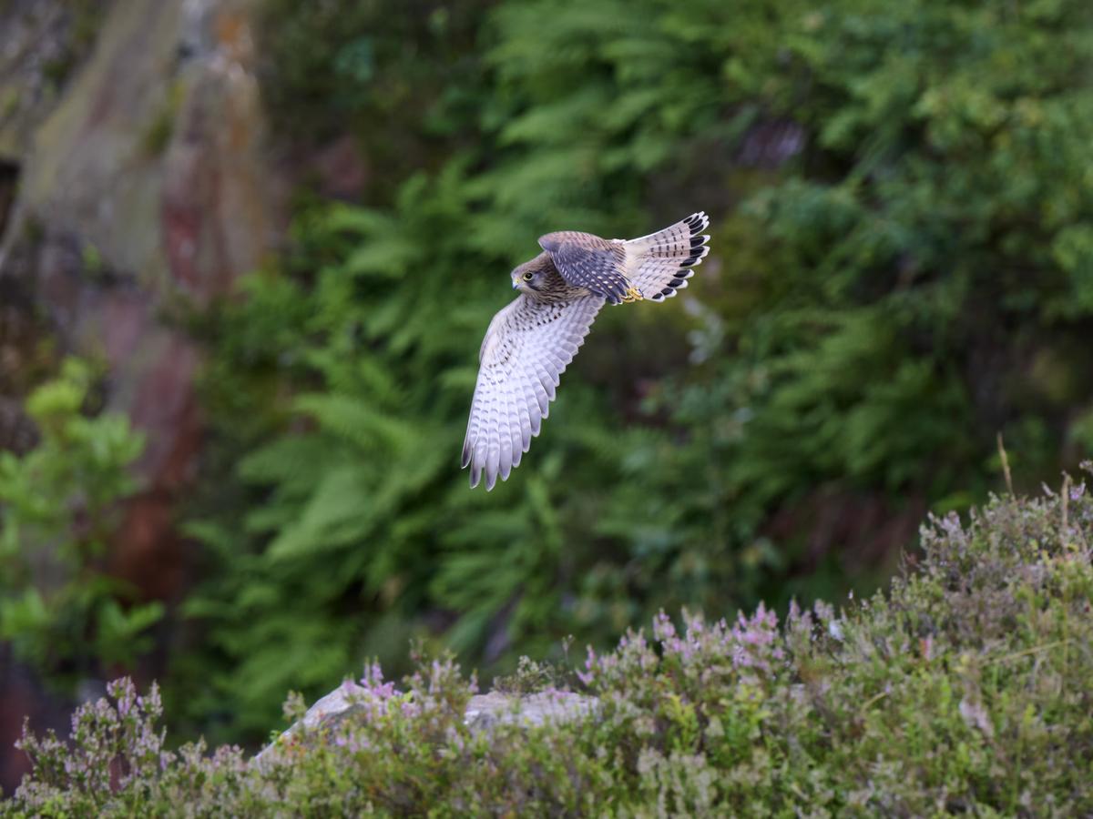 DSC_6188.jpg