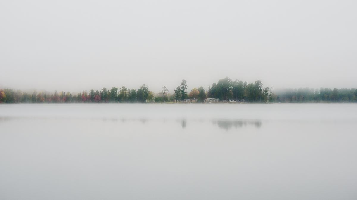 9240255.jpg