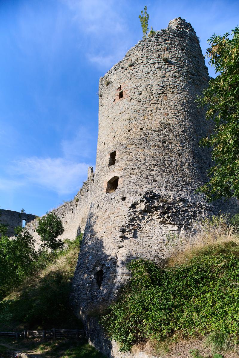 8DS_0309.jpg