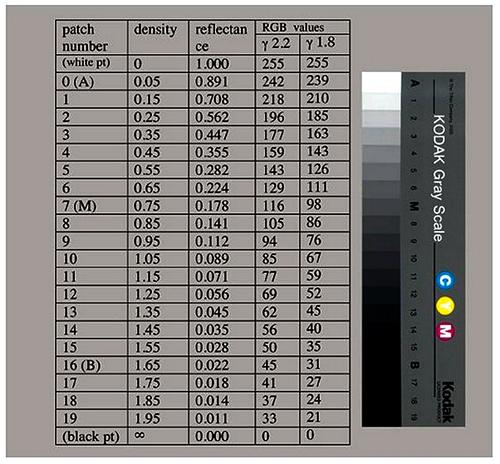 Kodak 21-step wedge.jpg