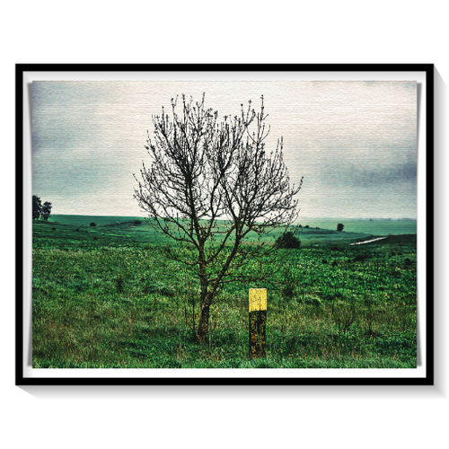 batch_DSCN1532-Tree-Ranges-Everleigh-Wiltshire-512.png