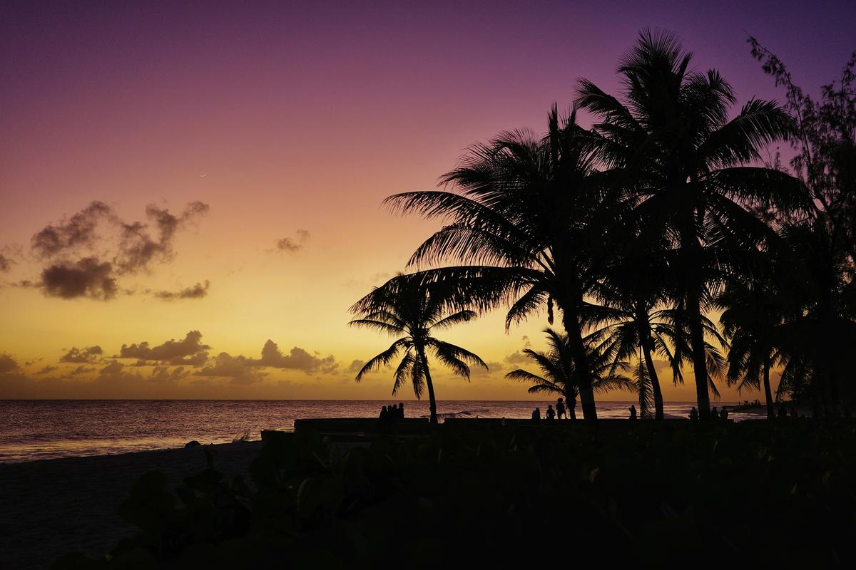 2025-12-21__-_Richard_Haynes_Boardwalk,_Barbados.jpg