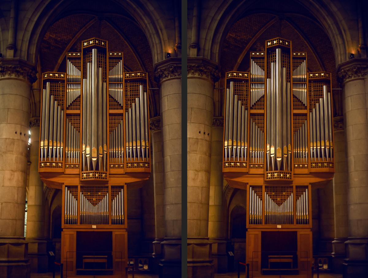 AC_Petri_Orikkor_4-5cm_635_Crossview Kopie.jpg