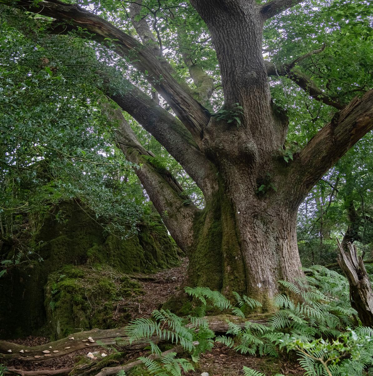 P7255244-HDR-Pano.jpg