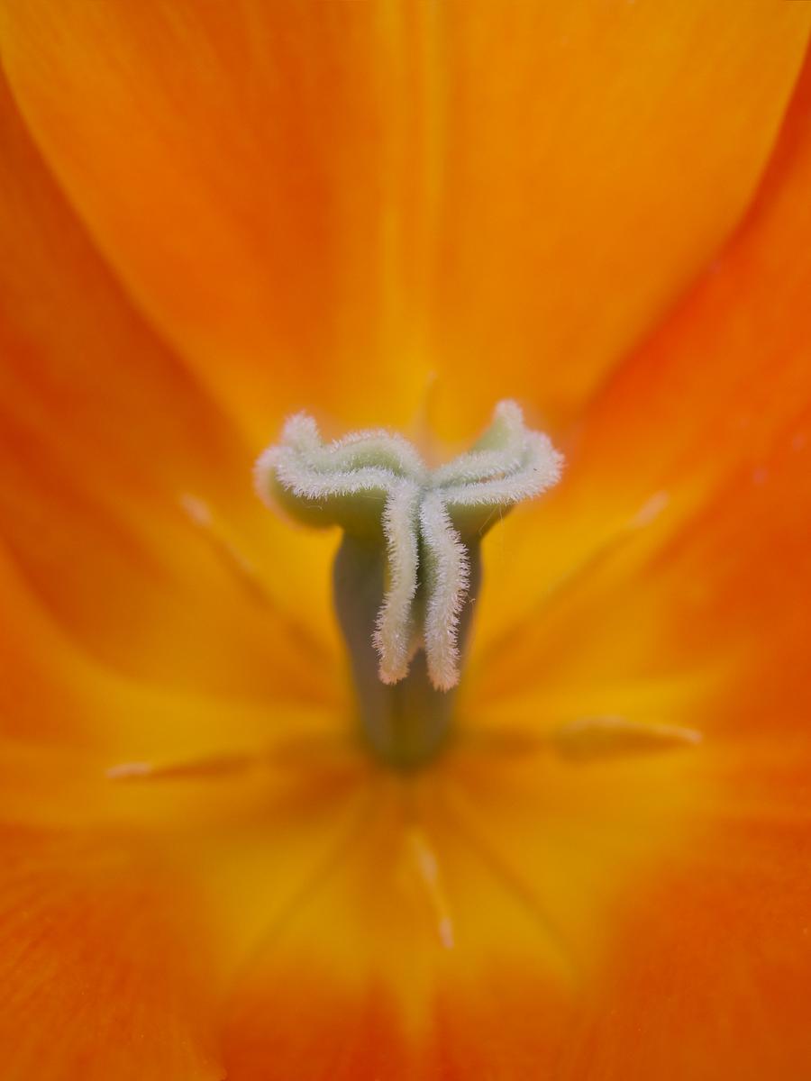 IMG_2862.jpeg
