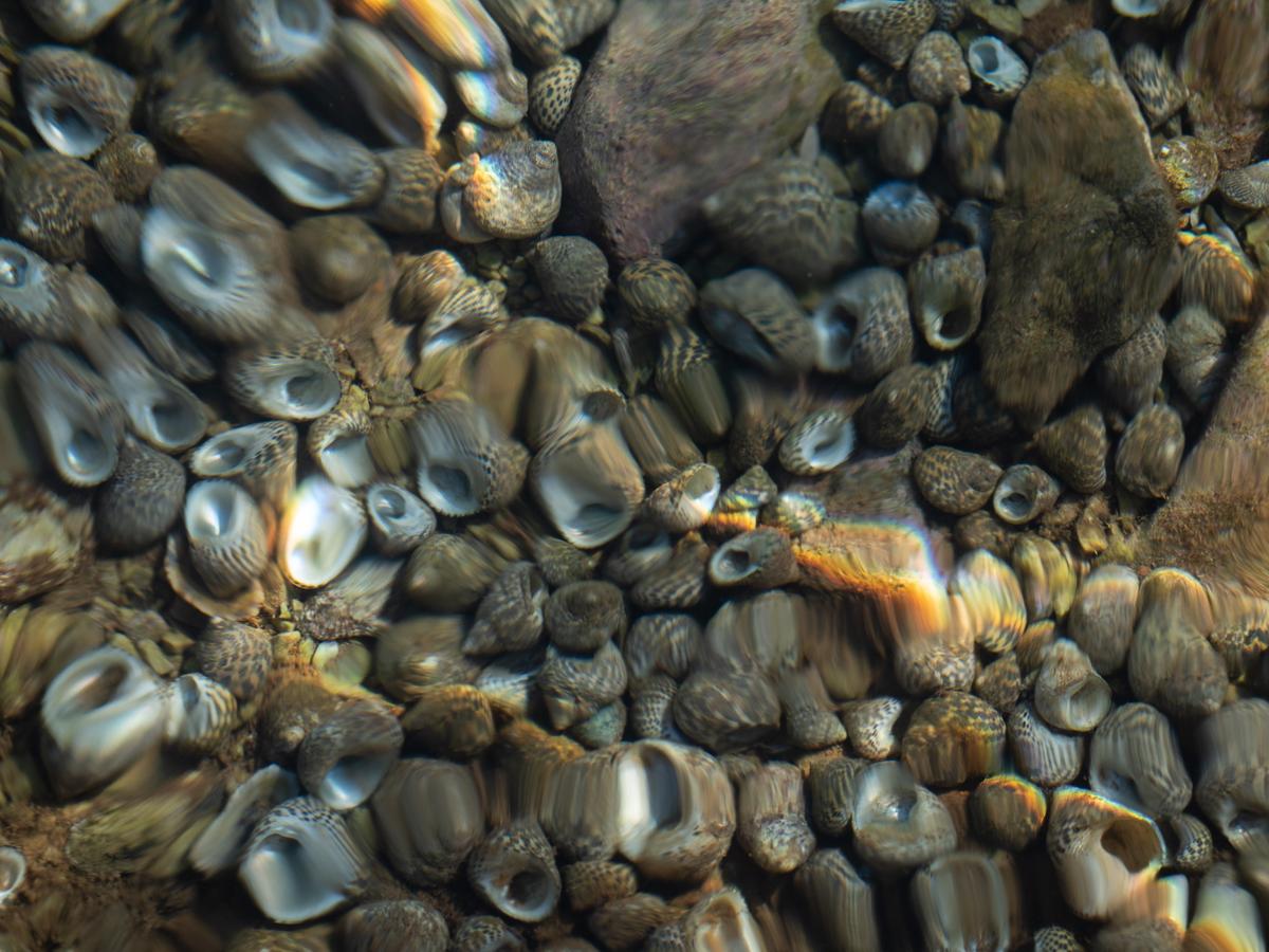 PA237756.jpg