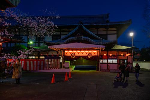 Kyoto 20250404 - 4.jpg