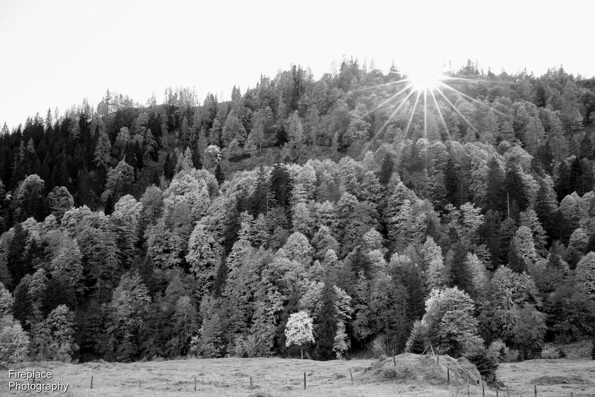 DSC_1412 smaller B&W.JPG