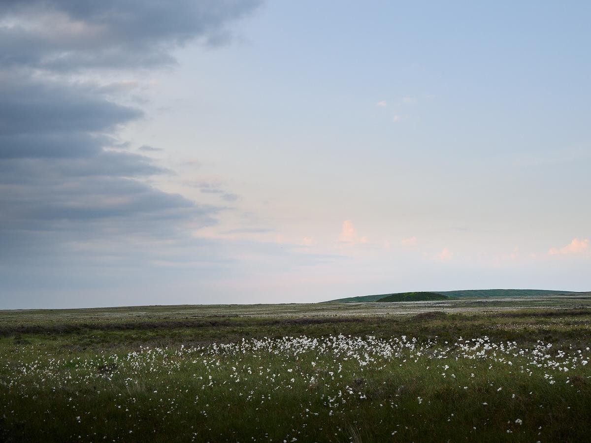 DSC_5555.jpg