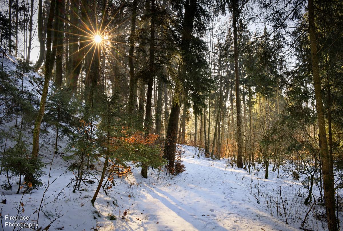 DSC_2522 smaller.JPG