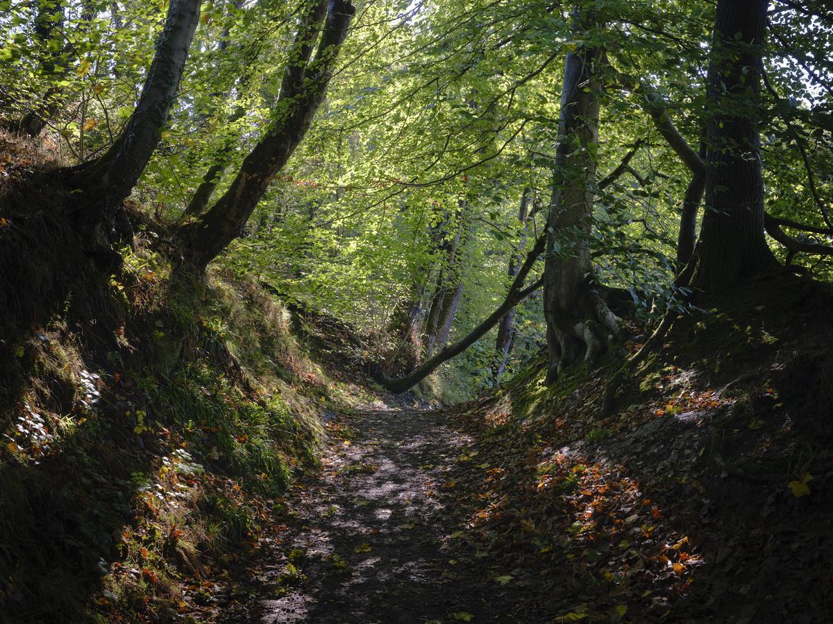 DSCF3539.jpg