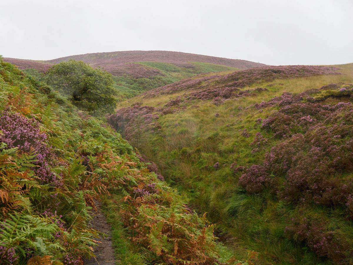 P9020022.jpg