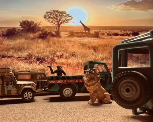 Daktari - Desktop Safari.jpg