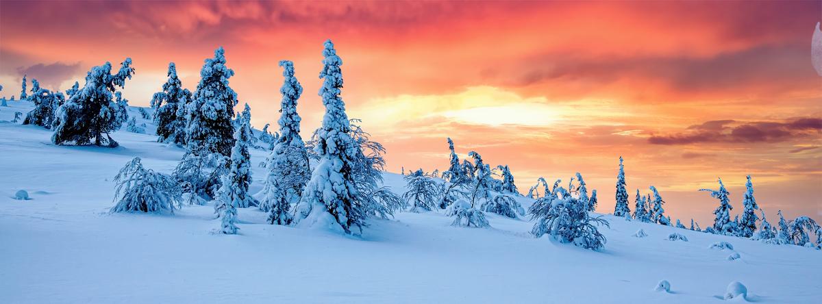 P2133826-1_0000 2_(Supersize).jpg