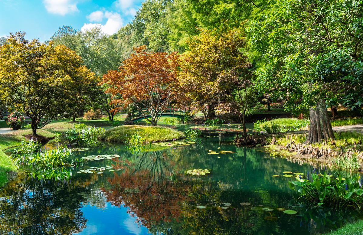 Gibbs Gardens 190928 - 242-Edit.jpg