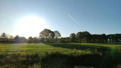 morning-sun.jpg