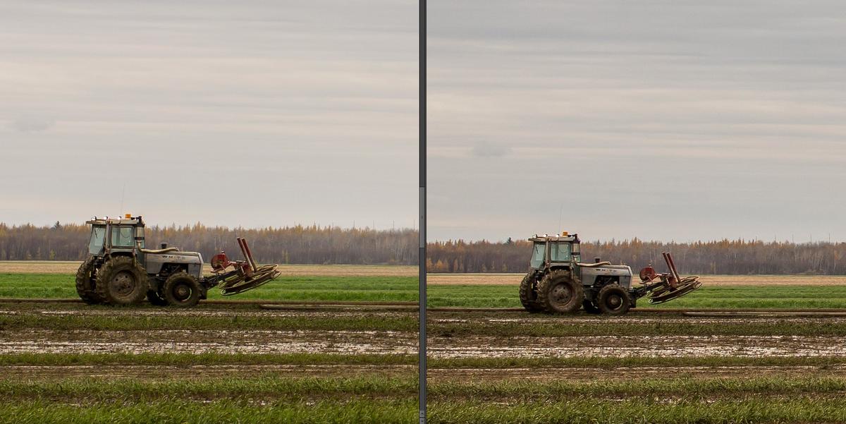 Pentax 645D (2010) 100% : Nikon D500 (2016) 100%.jpg