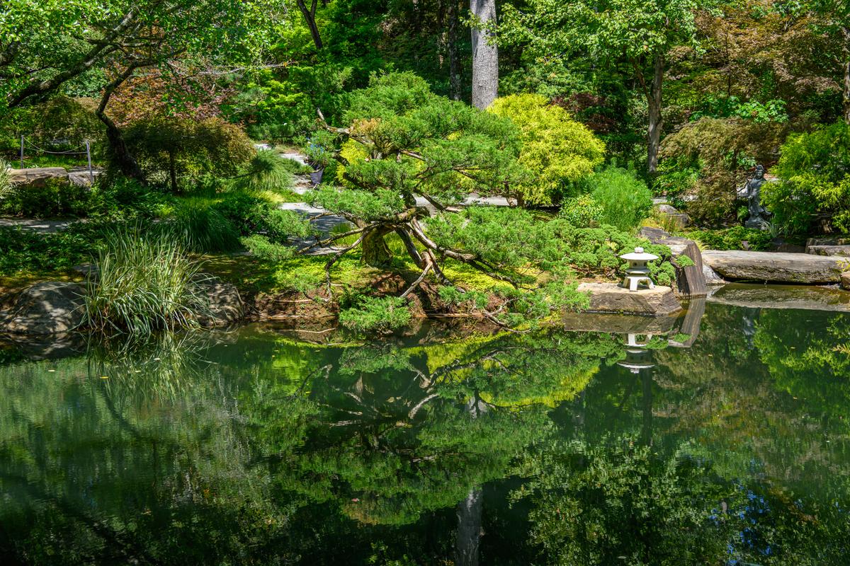 Gibbs Gardens 20250907 - 245.jpg
