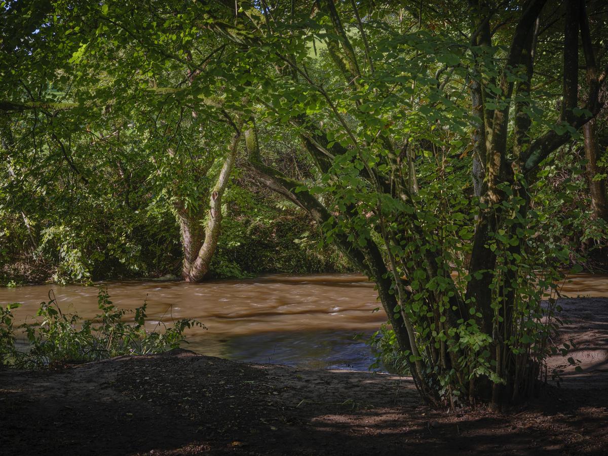 DSCF3534.jpg