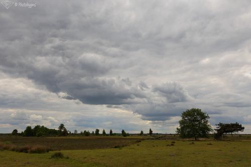 62B_2353.jpg