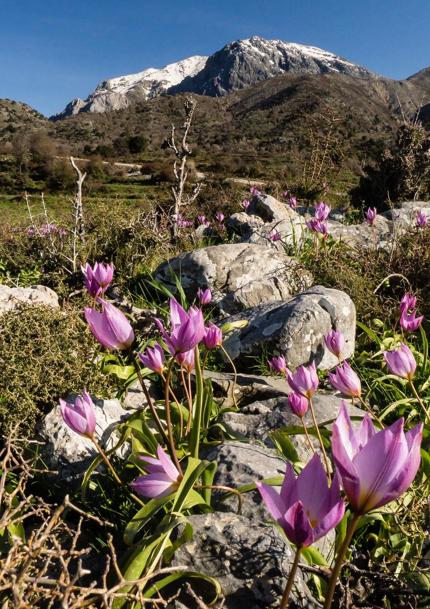 Crete 2011 March-April-260.jpg