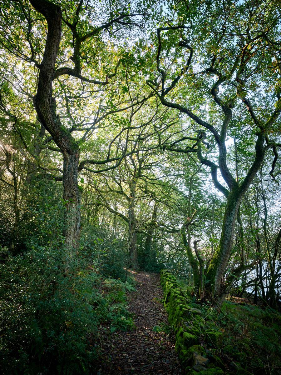 DSCF4650.jpg