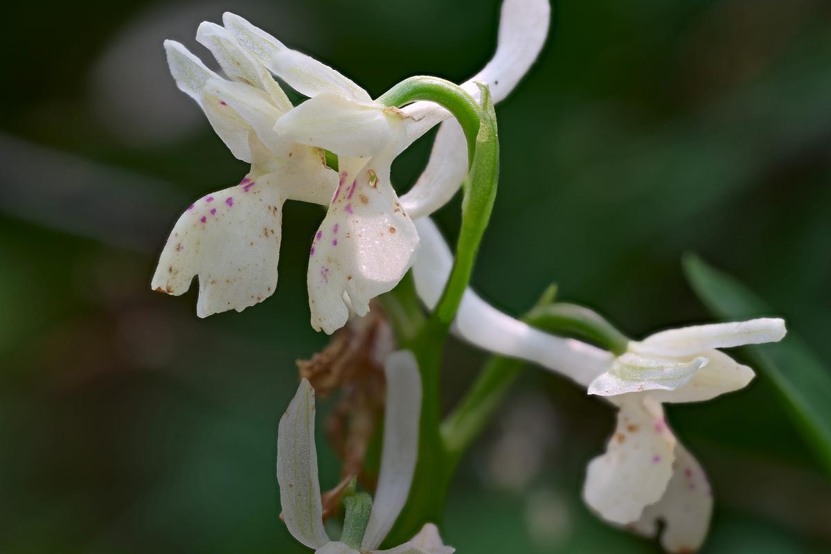 2026-04-18 19-18-10 (C,S4)_1.jpg