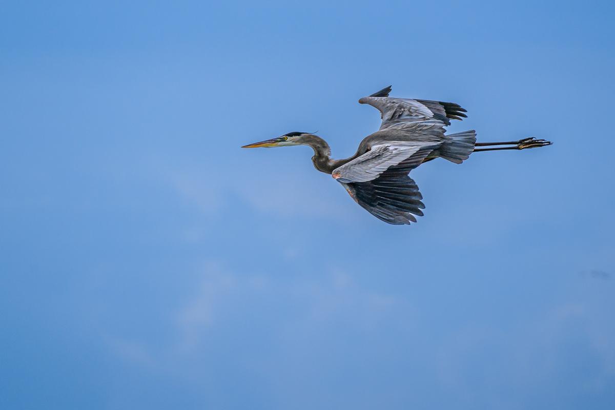 Vacation FM 2025-1774.jpg