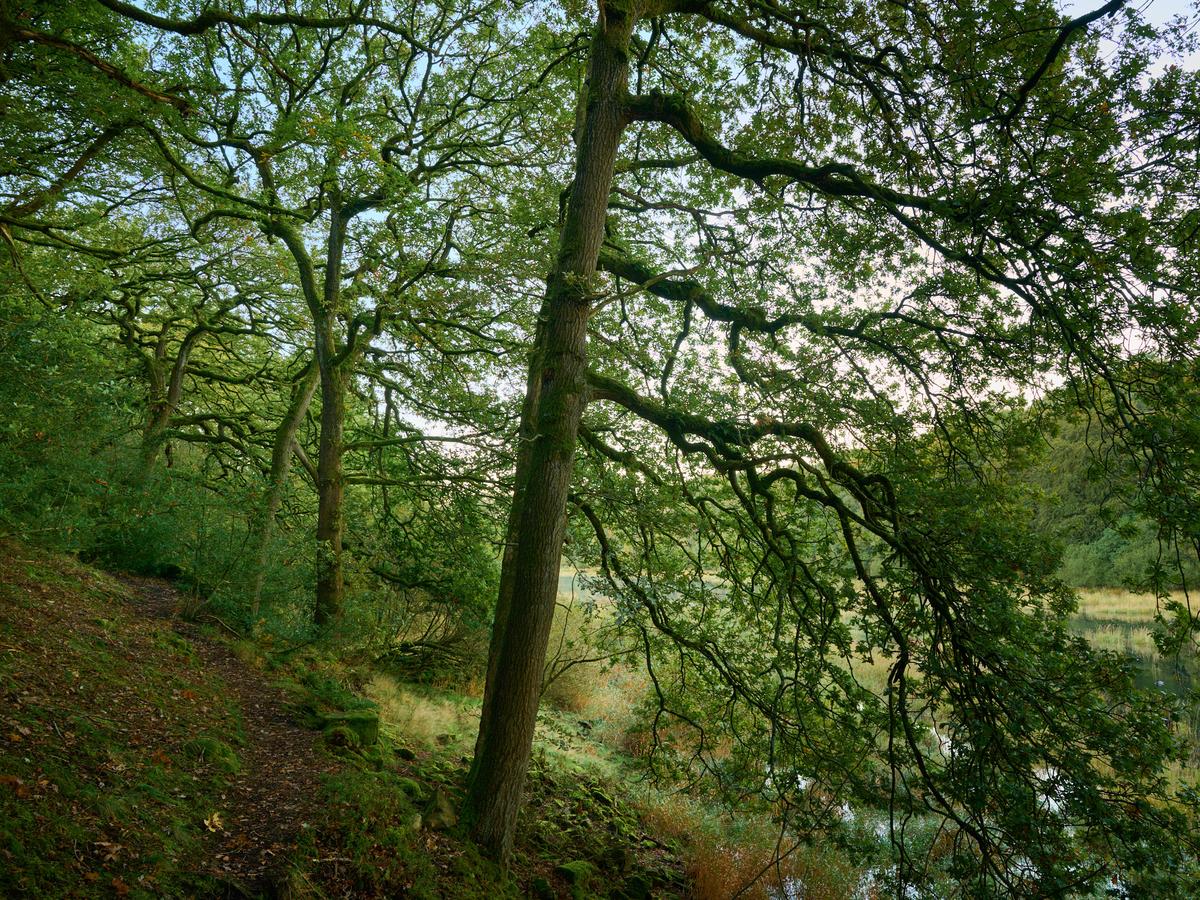 DSC_8579.jpg