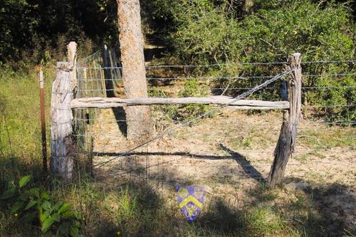 fence wtr mrkd.jpg