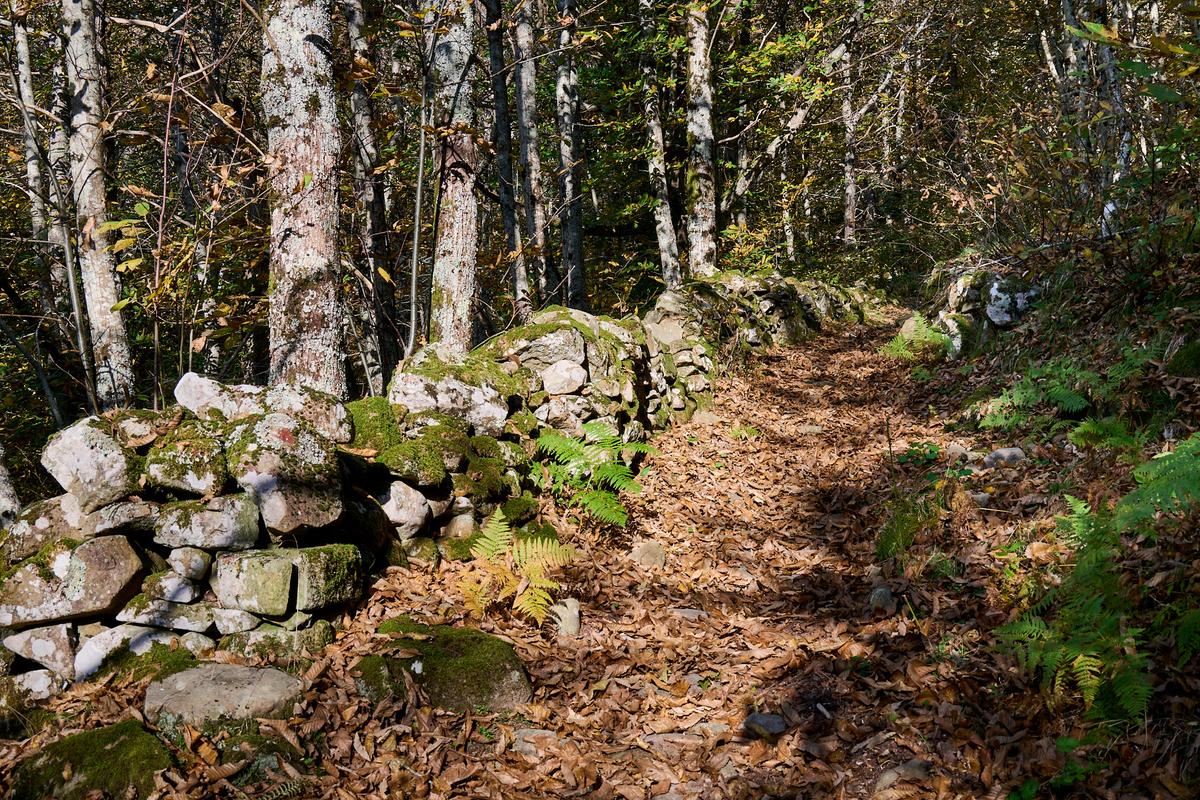 8DS_1480_HDR.jpg