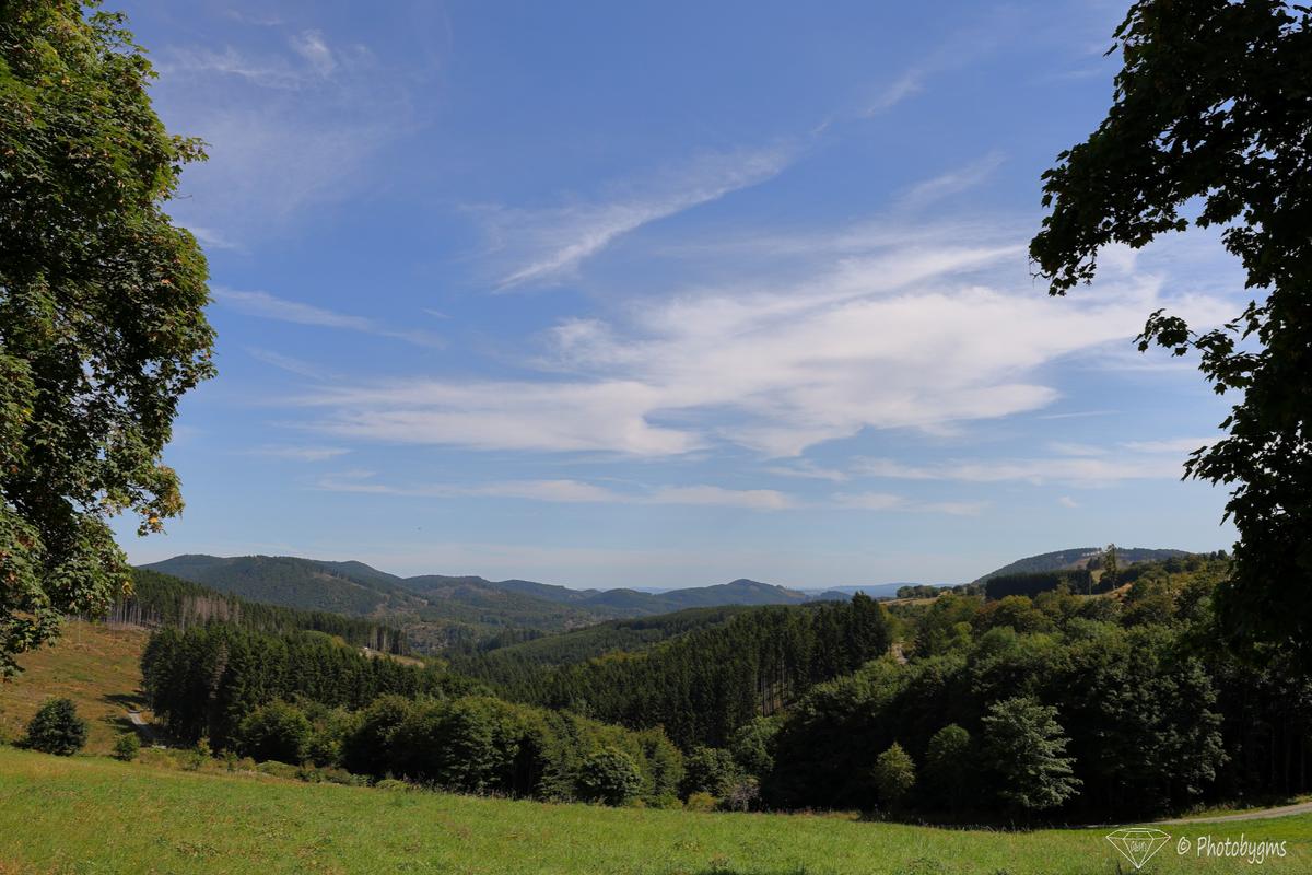 62A_4756.jpg