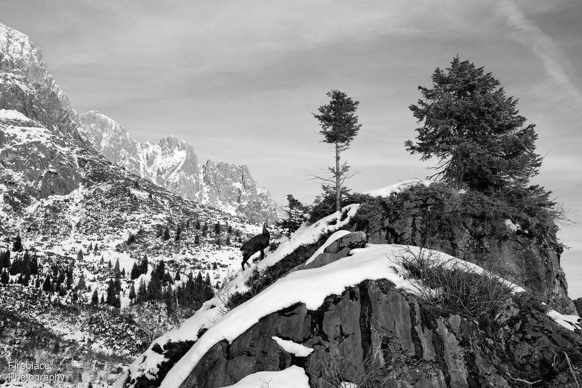 DSC_1996 smaller.JPG