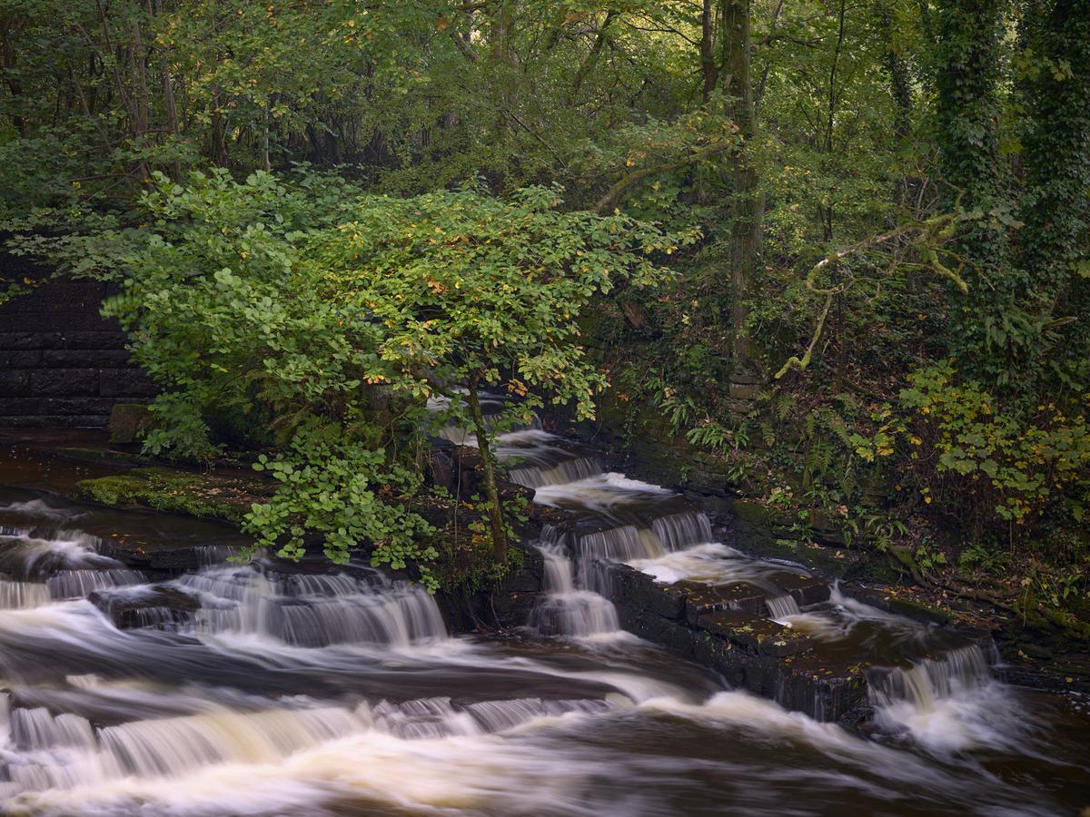 DSC_7675.jpg