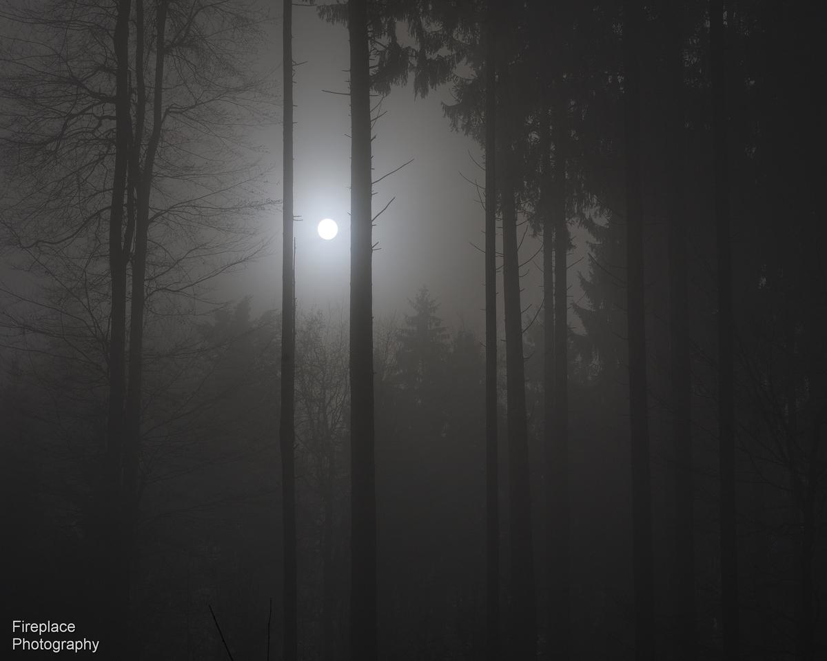 DSC_8205 - Crop smaller.JPG