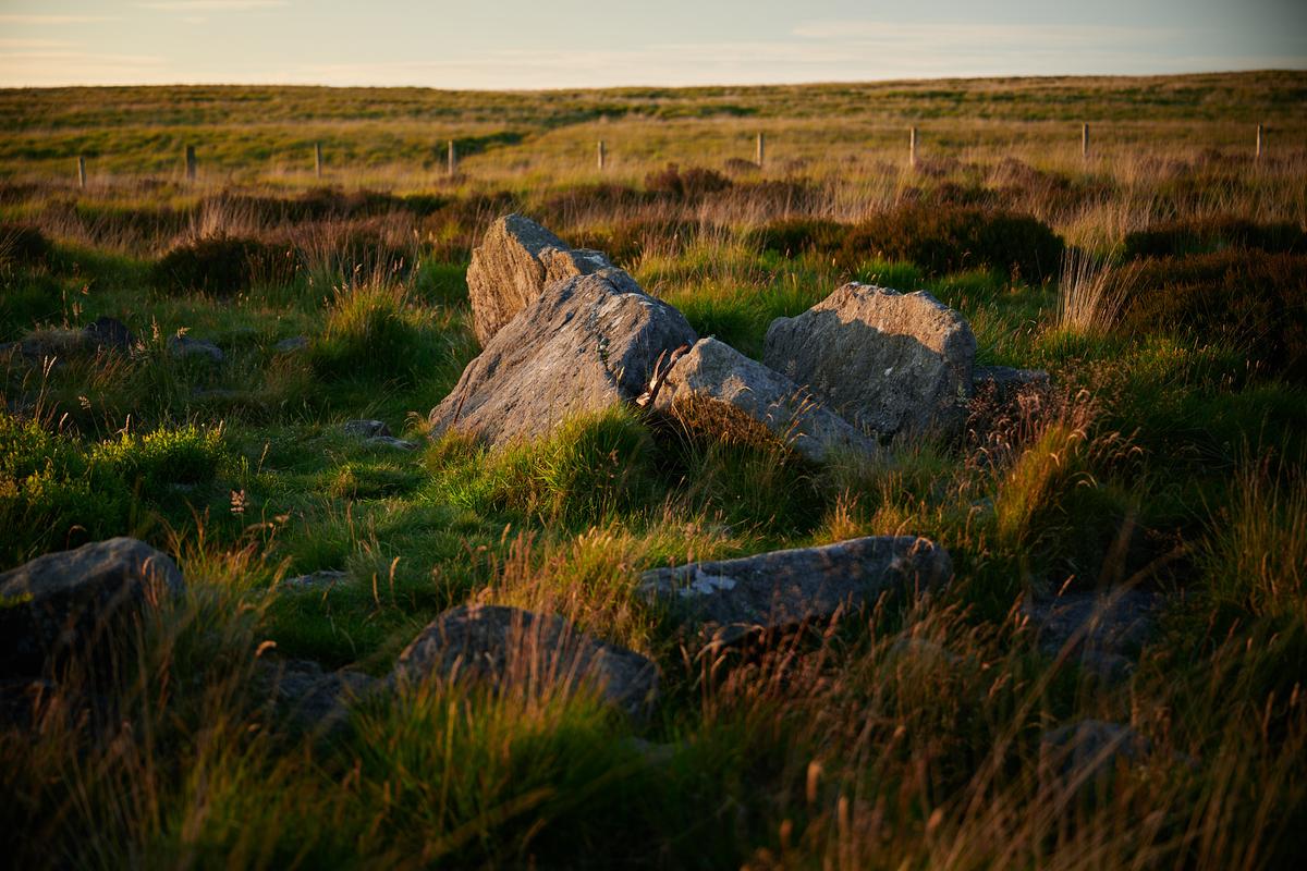 DSC_5503.jpg