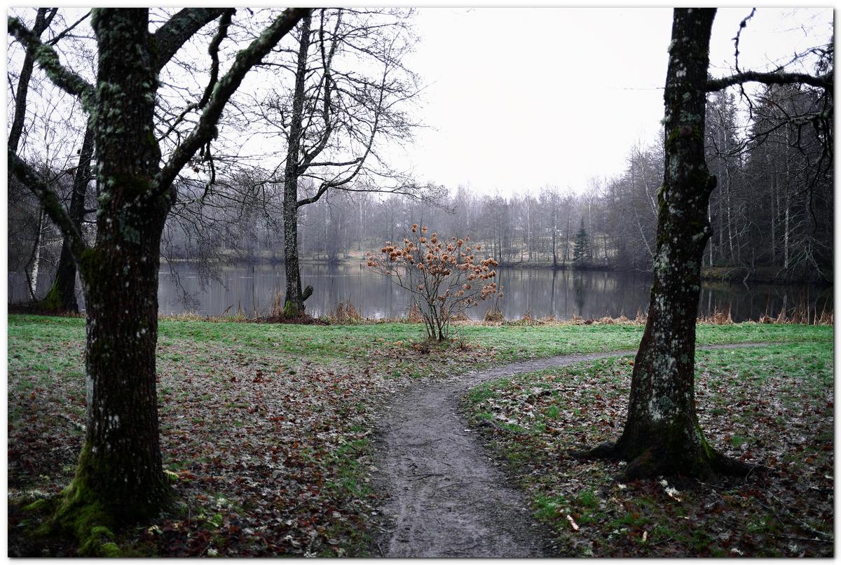 Edit Me An Image #49 - In the park.jpg