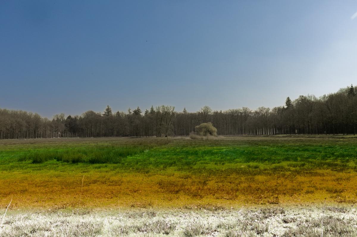 5D4_2186_DxO.jpg