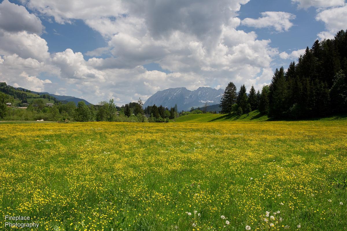 DSC_7908 d smaller.JPG