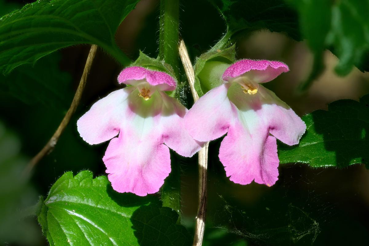 2026-04-18 19-14-14 (C,S4)_1.jpg