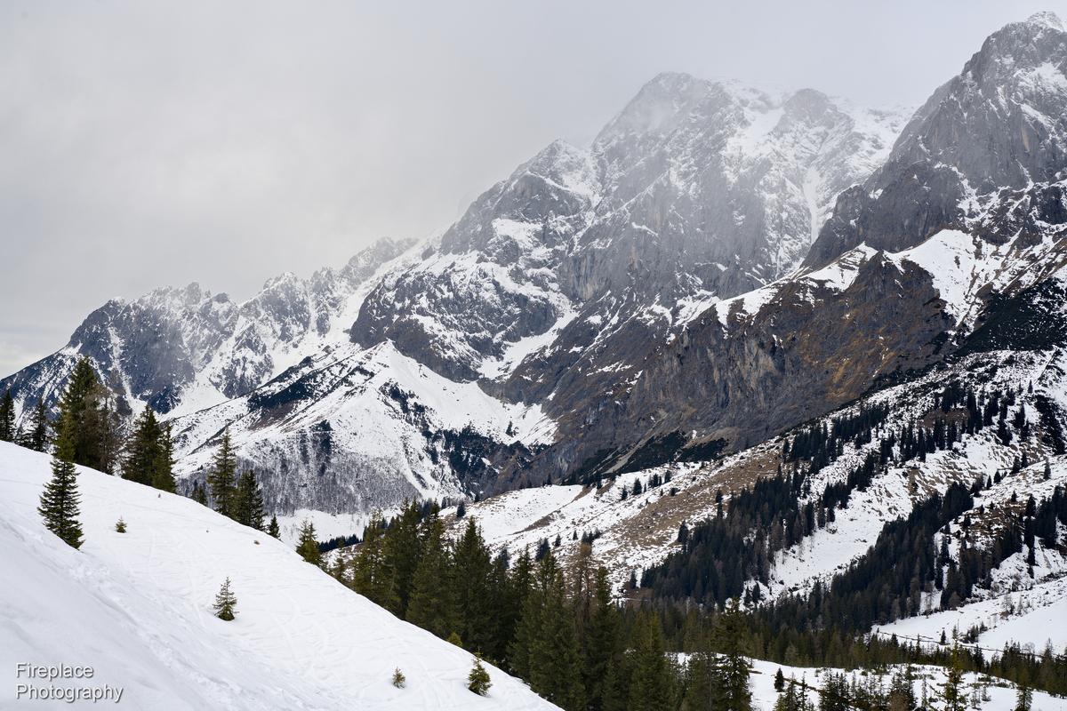 DSC_2589 smaller.JPG