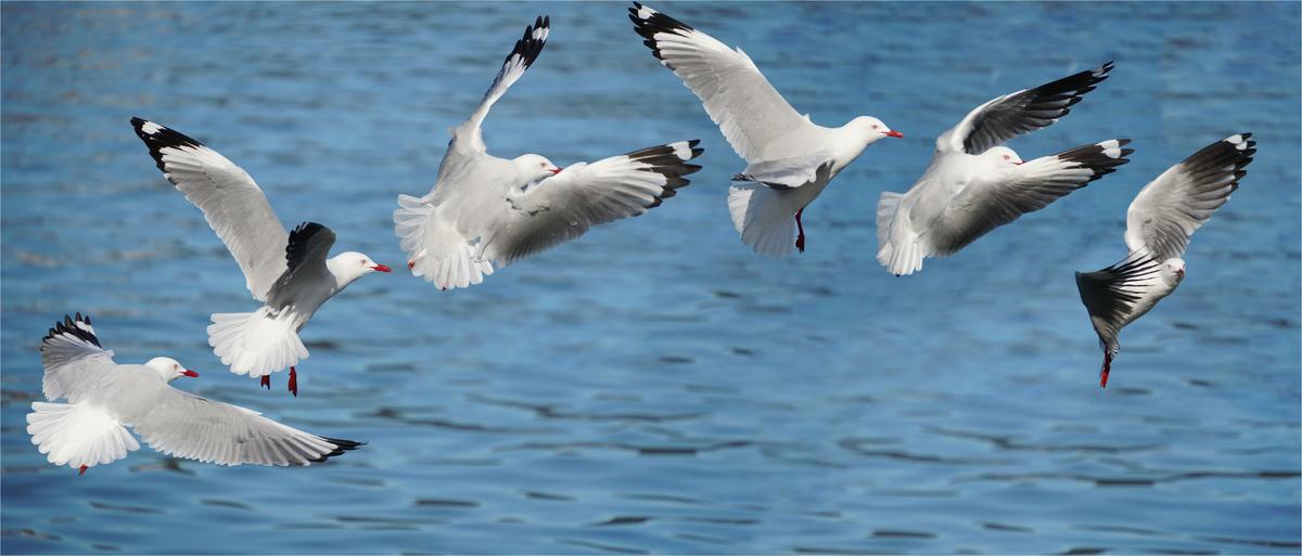 test copy (2024_08_29 03_35_01 UTC).jpg