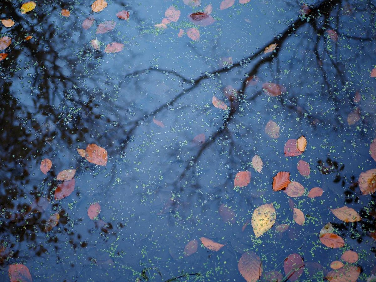 PA290090 - Copy_web.jpg