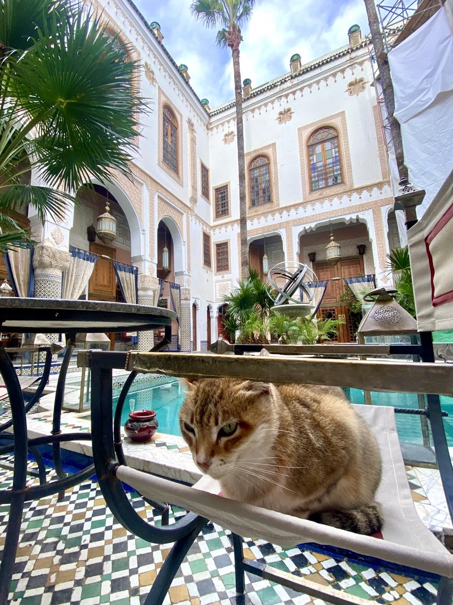 RoelH MAR 6 - Fez El-Bali Medina on Iphone - IMG_5807.jpg