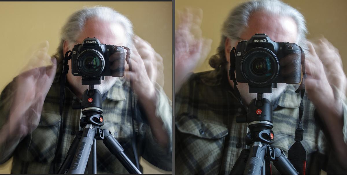 Canon EOS-20D (2004) 100% : Canon EOS-40D (2007) 100%.jpg