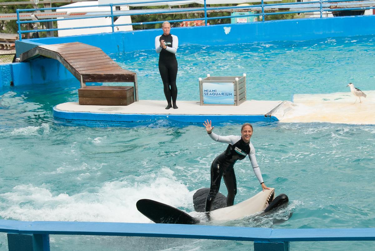 Miami Seaquarium 060916-48.jpg