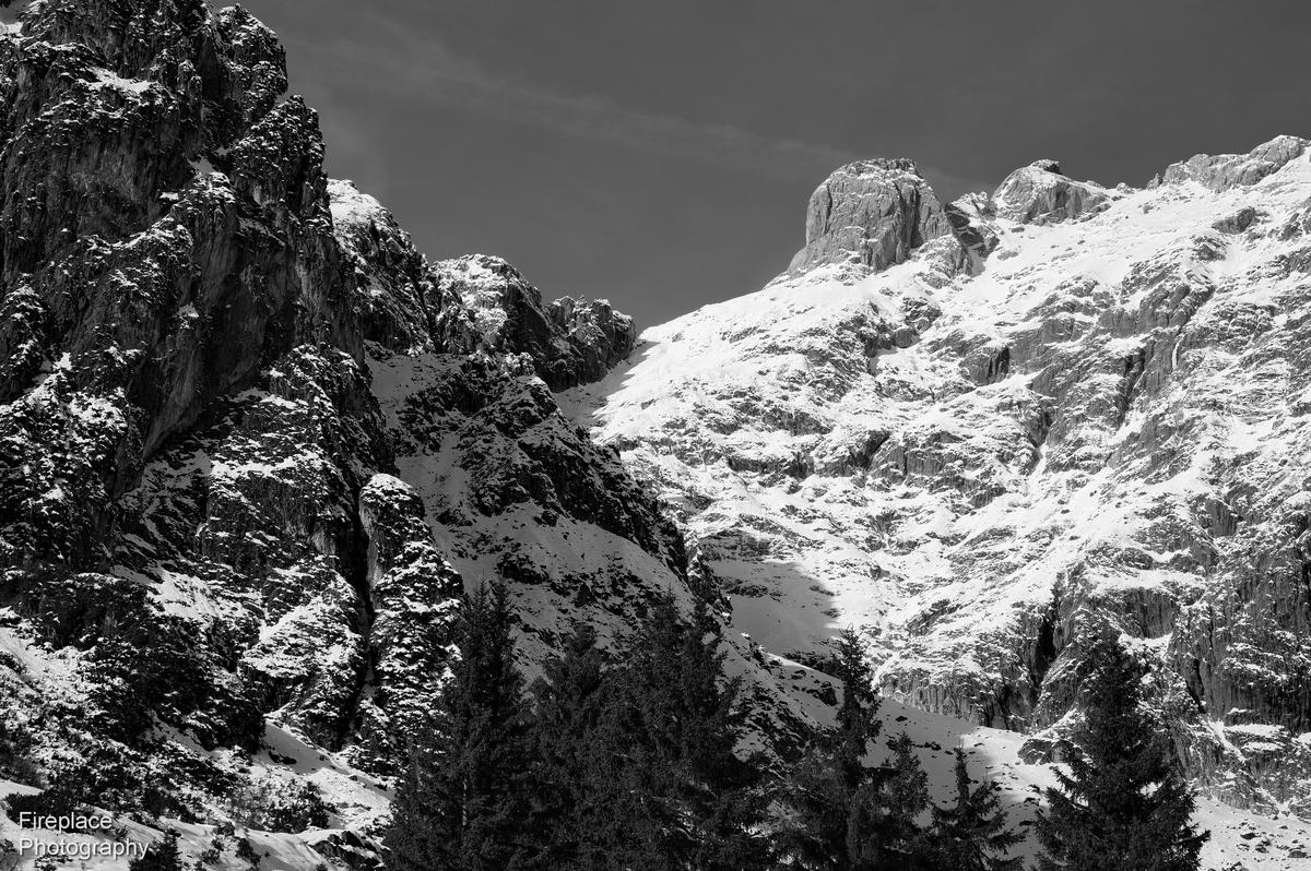 DSC_1937 smaller.JPG