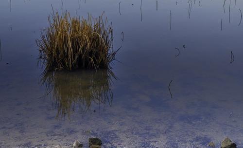 _1280274-Edit.jpg