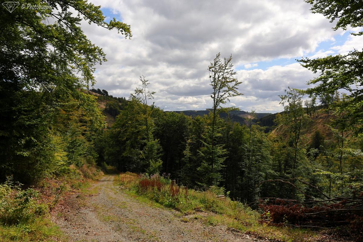 62A_4570.jpg